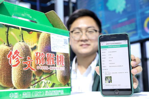 大數據賦能鄉村振興 貿易咨詢的新維度與實踐路徑